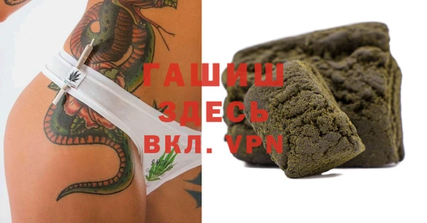 PSILOCYBIN Алзамай