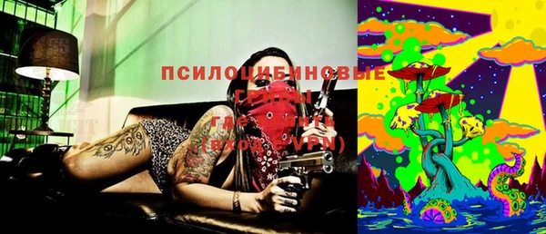 прущий лед Алексин