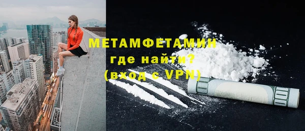 прущие грибы Пестово