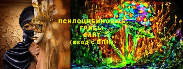 прущий лед Алексин
